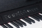 Medeli ANDROMEDA Series Digital Compact Piano. 88 Key. Black