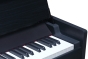 Medeli ANDROMEDA Series Digital Compact Piano. 88 Key. Black