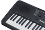 Medeli MILLENIUM Series Keyboard. 61 Key. Black