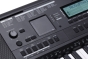 Medeli MILLENIUM Series Keyboard. 61 Key with Touch Response. Black