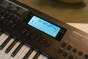 Medeli NEBULA Series Keyboard. 49 Key. Black