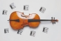 Thomastik-Infeld Peter Infeld Cello String A - 4/4