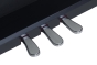 Medeli FORTE Series Digital Upright Piano. 88 Key. Black Satin