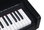 Medeli FORTE Series Digital Upright Piano. Bluetooth. 88 Key. Black Satin