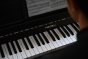 Medeli FORTE Series Digital Upright Piano. Bluetooth. 88 Key. Black Satin