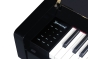 Medeli FORTE Series Digital Upright Piano. 88 Key. Black Gloss