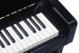 Medeli FORTE Series Digital Upright Piano. 88 Key. Black Gloss