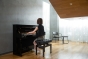 Medeli FORTE Series Digital Upright Piano. 88 Key. Black Gloss