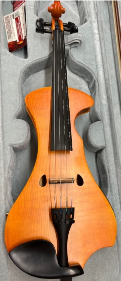 Hidersine Electric Violin Outfit - Zebrawood Finish-B stock-CL2601