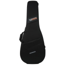 TGI Session Polyfoam Case - Classical Guitar