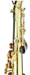 Trevor James Alphasax Alto Saxophone Outfit - Gold Lacquer