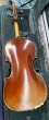 Hidersine Veracini Violin Outfit 4/4-B stock-CL2596