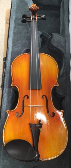 Hidersine Venezia Violin 4/4 - B-Stock - CL1445