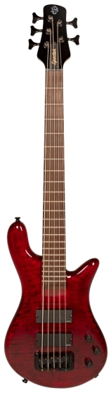 Spector Bantam 5 - Medium Scale Black Cherry Gloss 