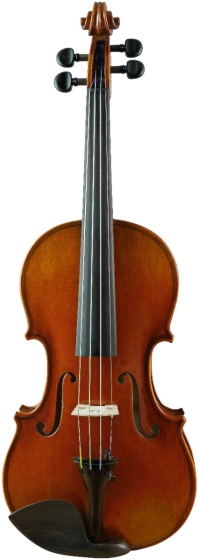 J.T.L Violin 4/4 Violons de Maître - Stradivarius 