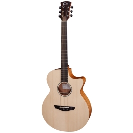 Faith Naked Venus inc Gigbag | Barnes & Mullins | Faith