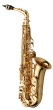 Yanagisawa Alto Sax - Brass