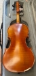 Hidersine Vivente Violin 4/4 Outfit.-B stock-CL2762