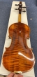 Hidersine Piacenza Violin 4/4 - SAMPLE - CL2330