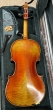 Hidersine Venezia Violin 4/4 - B-Stock - CL2425