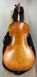 Hidersine Vivente 4/4 Cello Outfit - B-Stock - CL2481