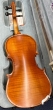 Hidersine Vivente Violin 1/8 Outfit.-B stock-CL2527