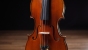 J. Thibouville-Lamy Violin 4/4 - Barnabetti