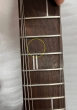 Shergold Masquerader Classic SM02 Thru-Cherry - B-Stock - CL2214