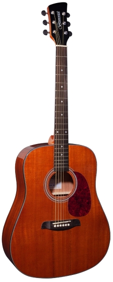 Brunswick Dreadnought Mahogany Gloss