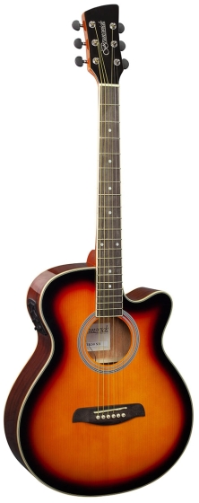 Brunswick Grand Auditorium Electro Sunburst