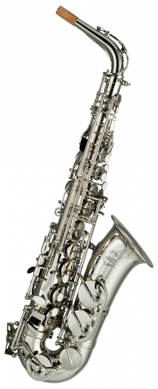Artemis A1 Alto Sax Outfit - Silver Plated