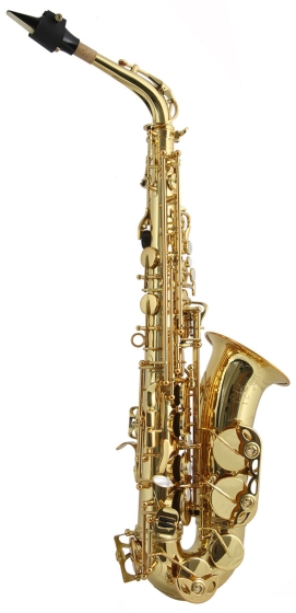 Trevor James SR Alto Sax Outfit - Gold Lacquer