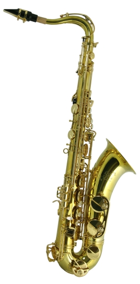 Trevor James SR Tenor Sax Outfit - Bronze. Gold Lacquer Keys