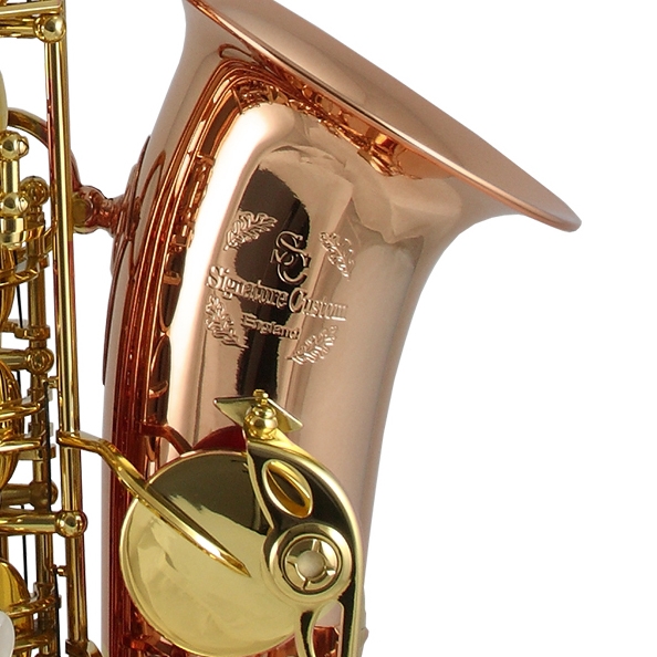Trevor James Signature Custom Alto Saxophone - Phosophor Bronze