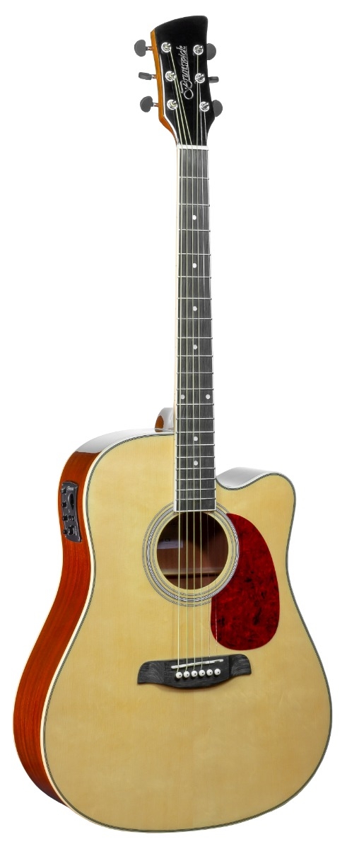 Brunswick acoustic guitar hot sale