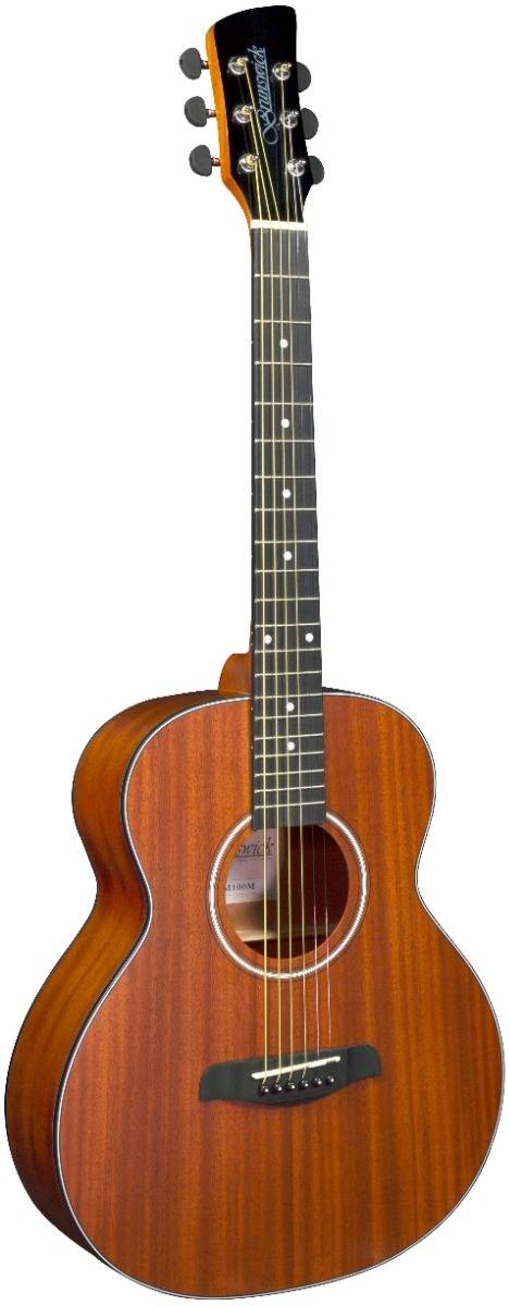 Brunswick guitar new arrivals