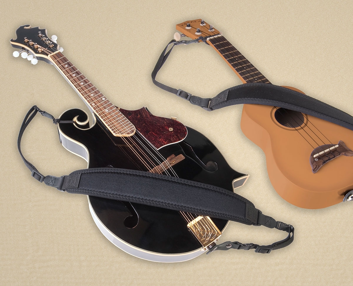 Mandolin and ukulele top