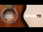 Brunswick BF200TB - Grand Auditorium Acoustic Guitar, Tobacco Burst