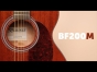 Brunswick BF200M - Grand Auditorium Acoustic Guitar, Mahogany