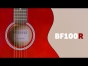 Brunswick BF100R - Grand Auditorium Acoustic Guitar, Red
