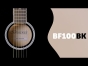 Brunswick BF100BK - Grand Auditorium Acoustic Guitar, Black