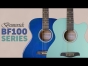 Brunswick BF100 Grand-Auditorium & Cutaway Series of Acoustic Guitars