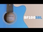 Brunswick BF100SBL - Cutaway Acoustic Guitar, Sky Blue
