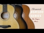 Brunswick BSM100 Super-Mini Series of Acoustic Guitars