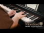Montford MFDP11 Upright Digital Piano