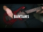 Spector: Bantam5 Medium-Scale Bass