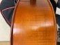 Hidersine Vivente 4/4 Cello Outfit - B-Stock - CL2522