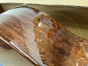 Rathbone No.8 - Solid Mahogany E/Cut-B stock-CL2562