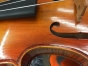 Hidersine Venezia Violin 4/4 - B-Stock - CL1701
