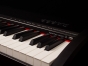 Montford Digital Piano - 88 Key